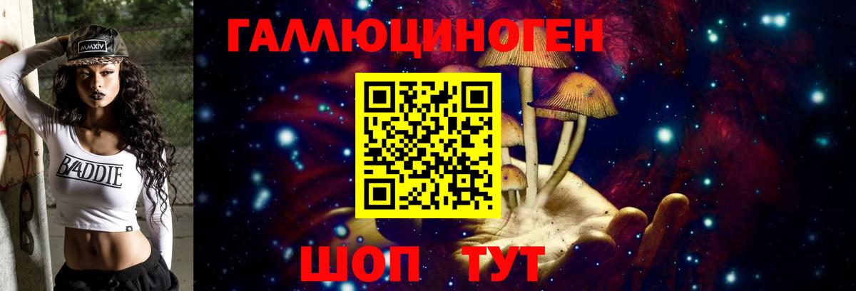 Псилоцибиновые грибы Psilocybine cubensis  Вход с VPN  Александров 