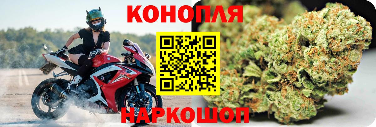 Канабис SATIVA & INDICA Александров